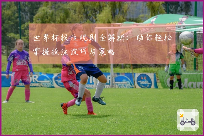 世界杯投注规则全解析：助你轻松掌握投注技巧与策略