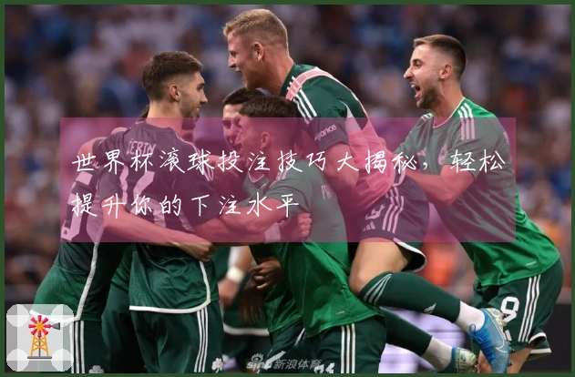 世界杯滚球投注技巧大揭秘，轻松提升你的下注水平