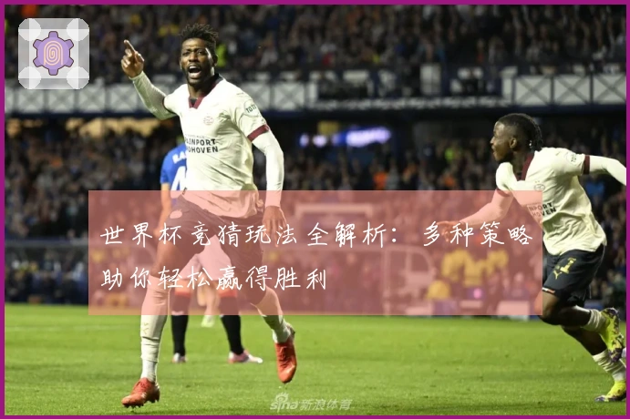 世界杯竞猜玩法全解析：多种策略助你轻松赢得胜利