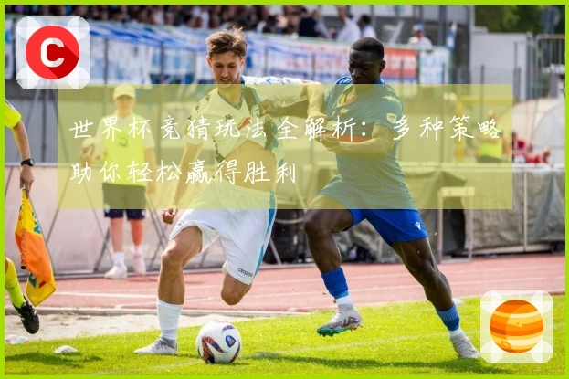 世界杯竞猜玩法全解析：多种策略助你轻松赢得胜利