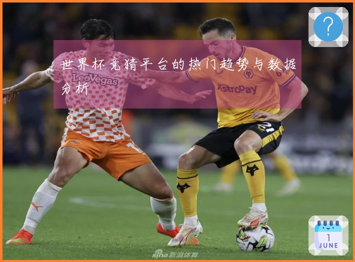 世界杯竞猜平台的热门趋势与数据分析